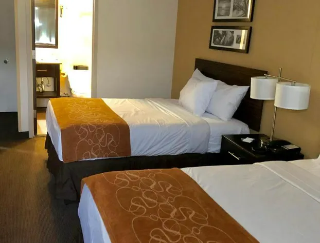 The Vue Inn Brooklyn hotel detail image 3