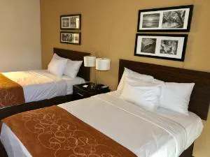 The Vue Inn Brooklyn hotel detail image 1