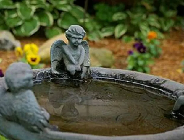 Brookside Mountain Mist Inn B&B hotel detail image 4