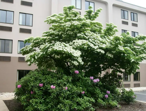 Hampton Inn Downingtown/Exton hotel detail image 3