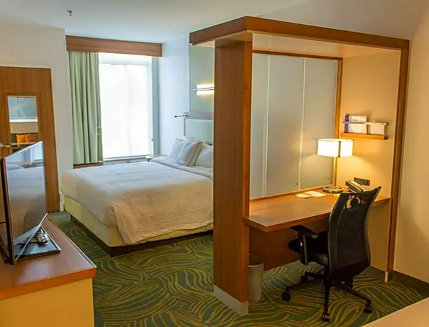 SpringHill Suites Sumter hotel detail image 4