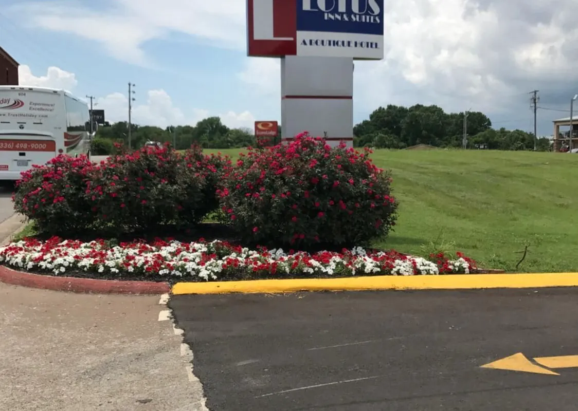 Lotus Inn and Suites hotel hero