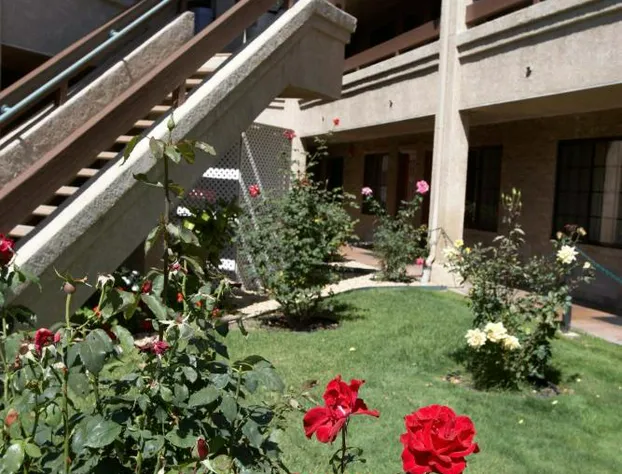 Premier Inns Thousand Oaks hotel detail image 1