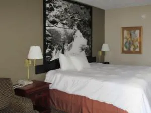 Super 8 by Wyndham Manchester TN hotel detail image 1