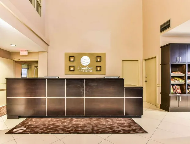 Comfort Inn & Suites Ambassador Bridge hotel detail image 1