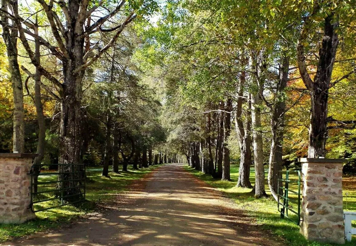 The Normaway Inn hotel hero