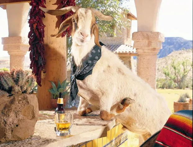 Lajitas Golf Resort and Spa hotel detail image 1