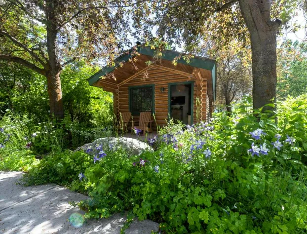 Flying Saddle Resort hotel detail image 4