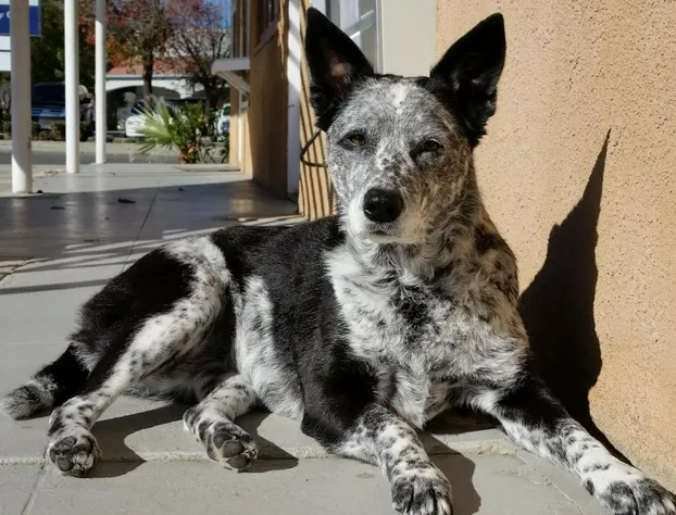Laura Lodge hotel detail image 4