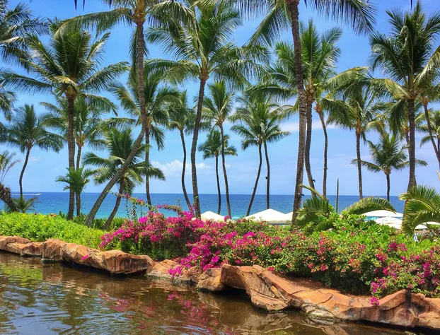 Ho‘olei Villas at Grand Wailea hotel detail image 3