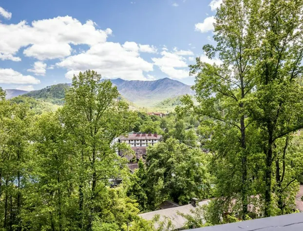 Chalet Inn hotel detail image 4