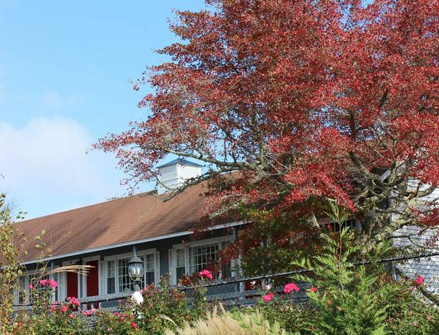 Red Horse Inn hotel detail image 3