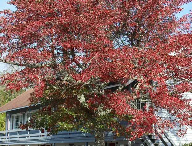 Red Horse Inn hotel detail image 2