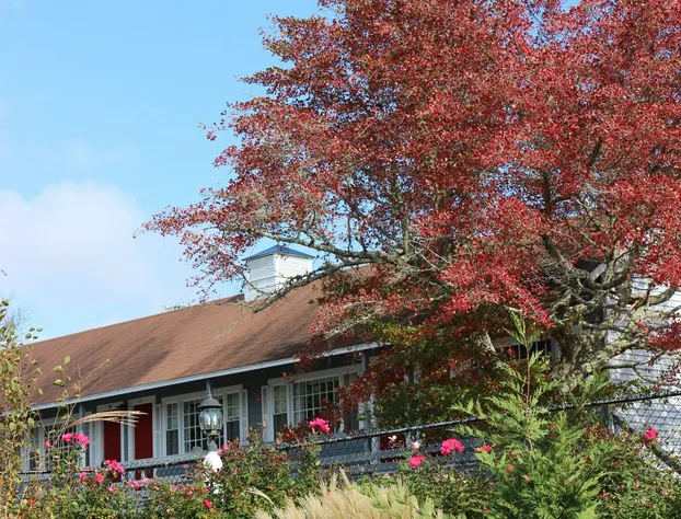 Red Horse Inn hotel detail image 3