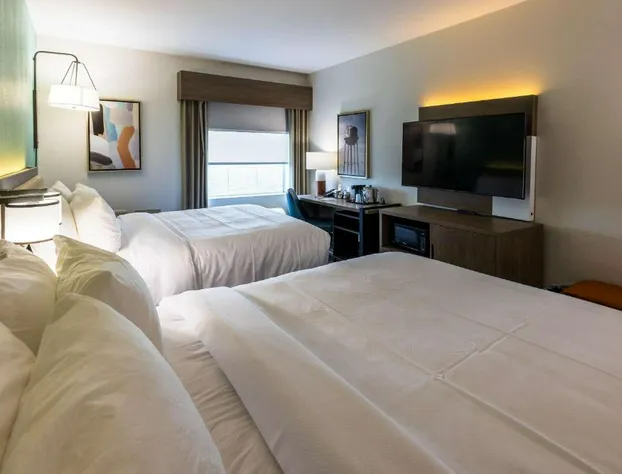 Comfort Inn & Suites New Iberia - Avery Island hotel detail image 3