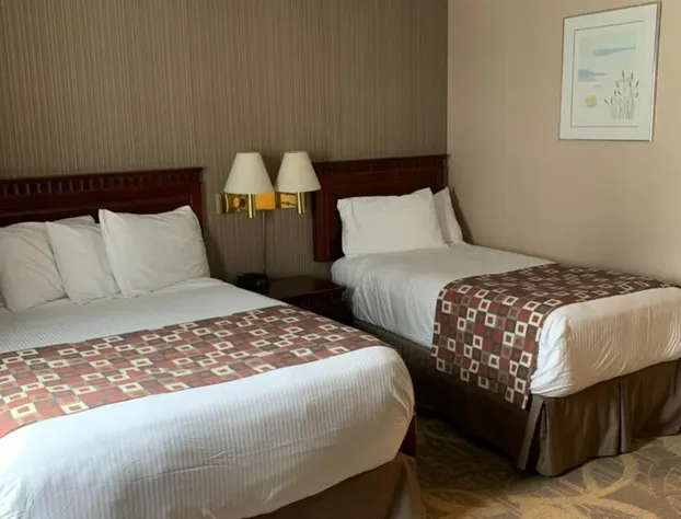 Albatross Hotel hotel detail image 4