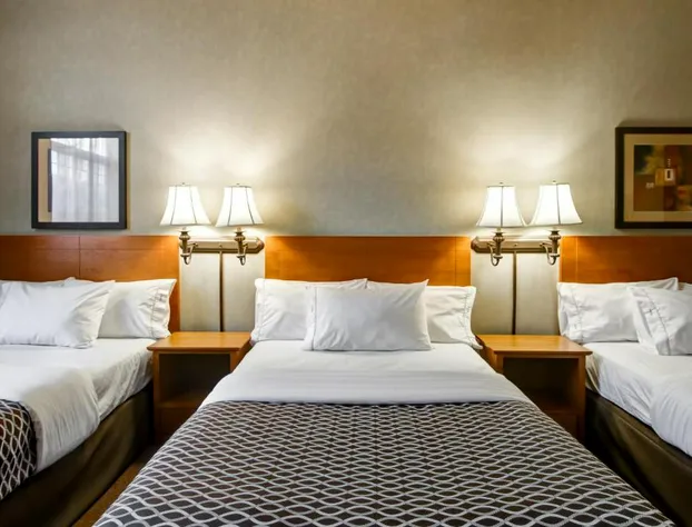 Canalta Provost hotel detail image 4