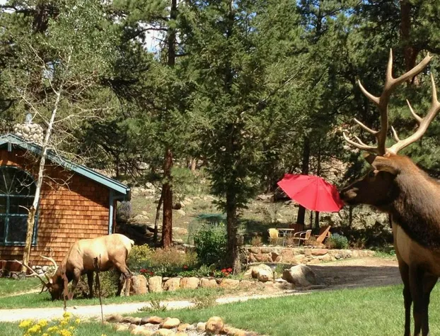 Riversong Inn Retreat hotel detail image 3