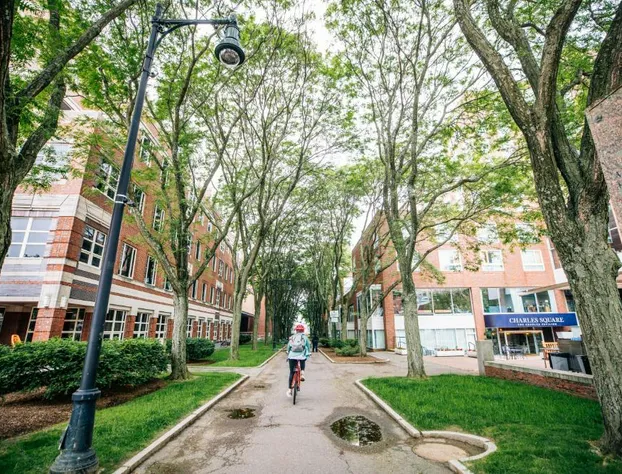 The Charles Hotel hotel detail image 4