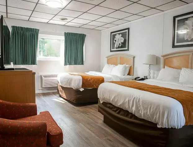 Bedford Motel hotel detail image 2