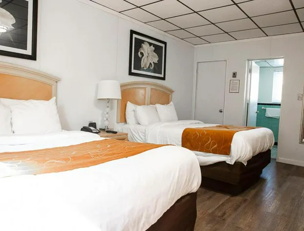 Bedford Motel hotel detail image 4