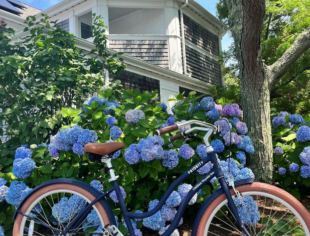 Chatham Wayside Inn hotel detail image 1
