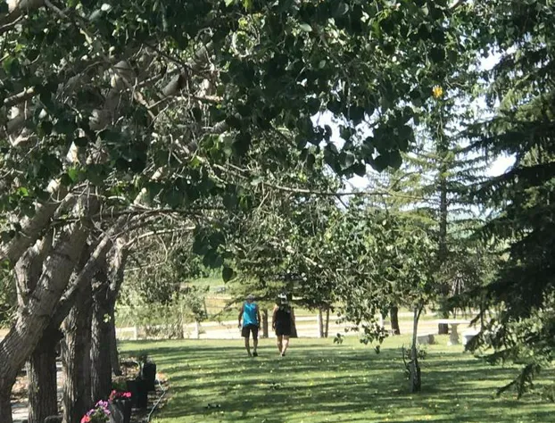 Rolling Hills Country Resort Bed and Breakfast hotel detail image 4