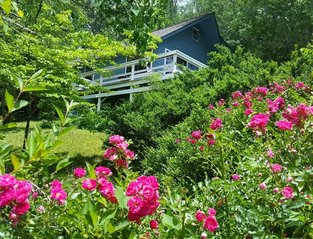 Innisfree Boutique Inn By-The-Lake hotel detail image 1