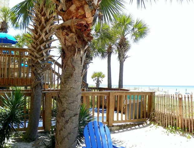 The Driftwood Lodge hotel detail image 4