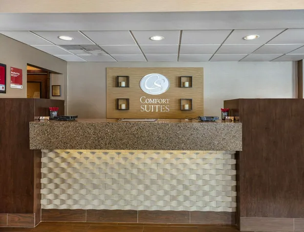 Comfort Suites hotel detail image 1