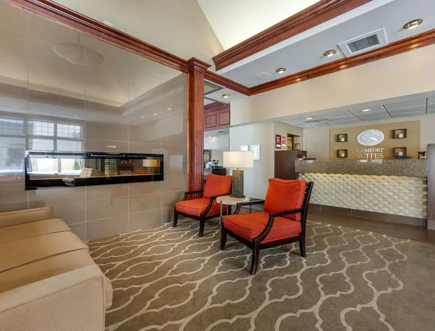 Comfort Suites hotel detail image 2