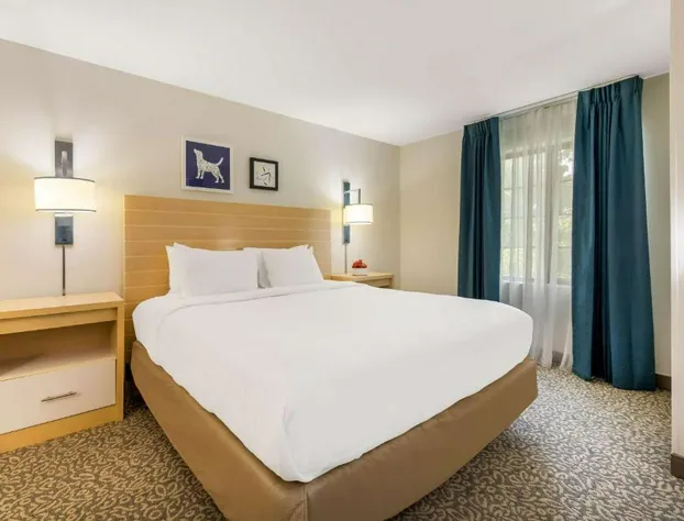 Sonesta ES Suites Charlotte Arrowood hotel detail image 4