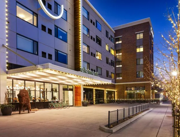 Element Bozeman hotel detail image 3