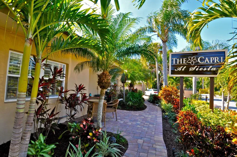 The Capri at Siesta hotel hero