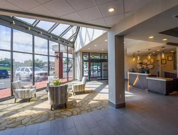 Euro Suites Hotel hotel detail image 3