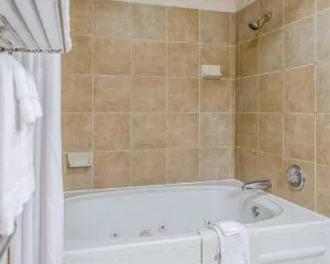 Quality Inn & Suites Twin Falls North hotel detail image 3