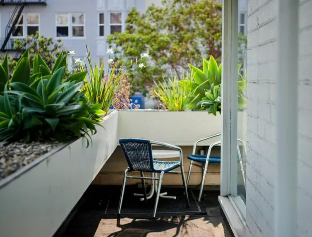 The Phoenix Hotel hotel detail image 4