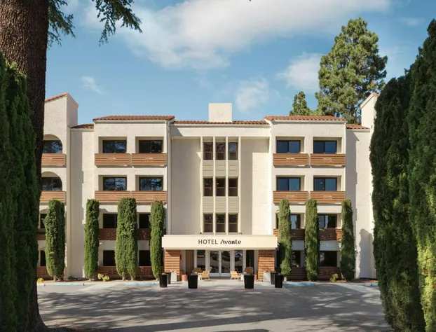 Hotel Avante - JDV by Hyatt hotel detail image 1