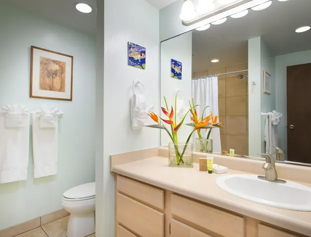 Aston At Poipu Kai hotel detail image 3