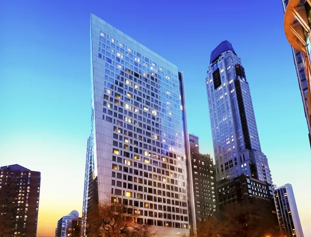 Sofitel Chicago Magnificent Mile hotel detail image 2