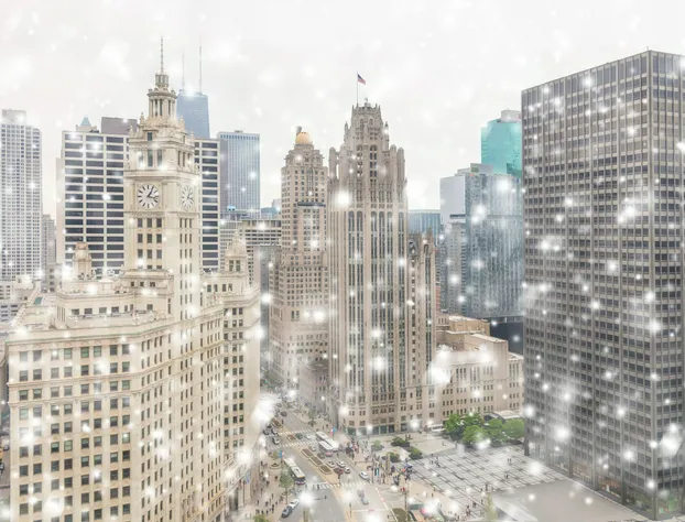 Sofitel Chicago Magnificent Mile hotel detail image 3