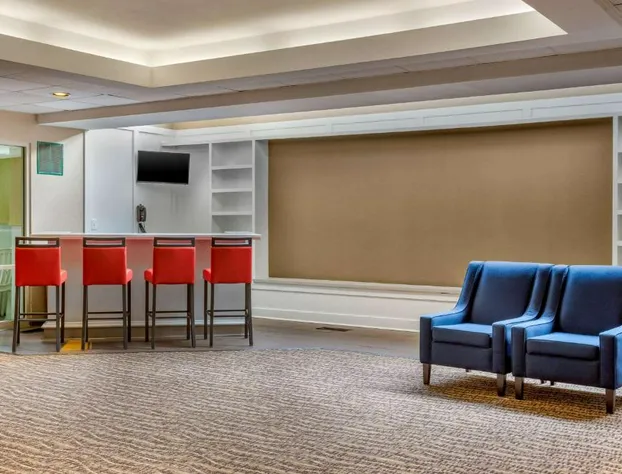 Comfort Suites Oakbrook Terrace near Oakbrook Center hotel detail image 2