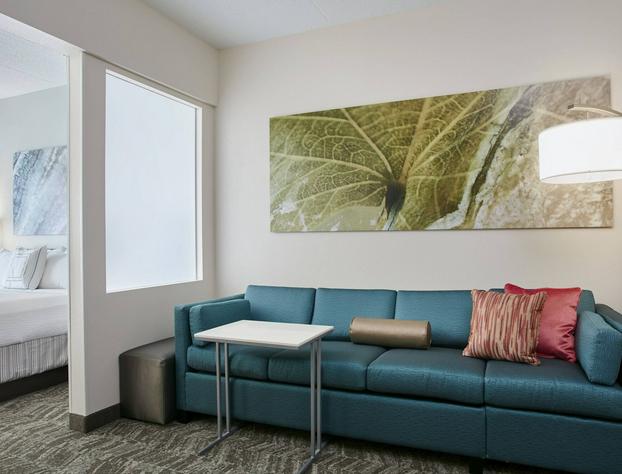 SpringHill Suites by Marriott Chicago Schaumburg/Woodfield hotel detail image 4