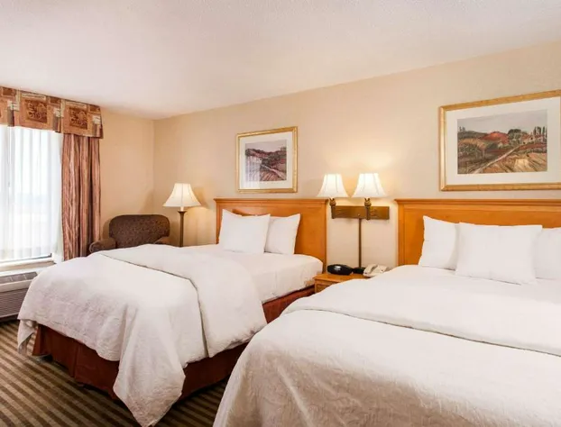 Hampton Inn & Suites Addison hotel detail image 3