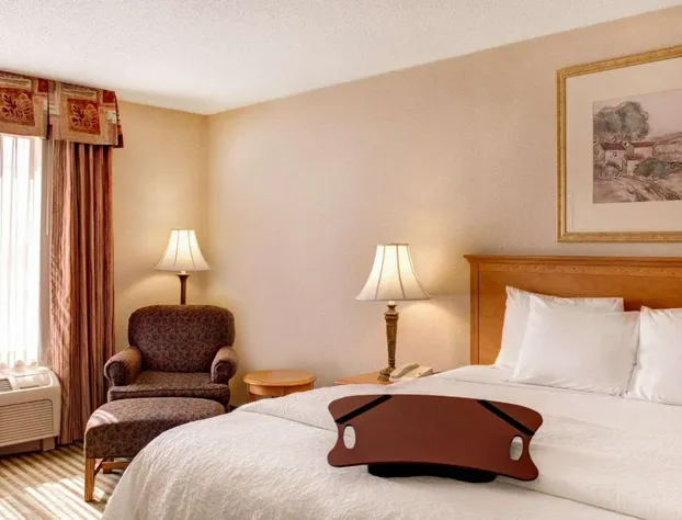 Hampton Inn & Suites Addison hotel detail image 4