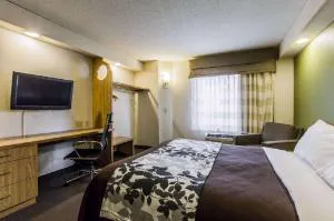 Rodeway Inn Austell Six Flags hotel detail image 2