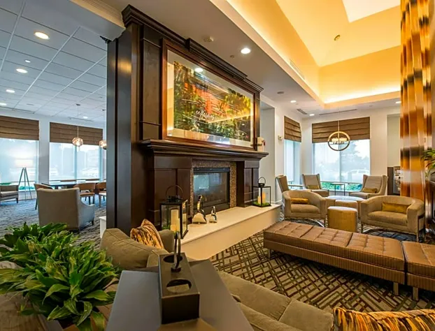 Hilton Garden Inn Atlanta Airport North hotel detail image 2