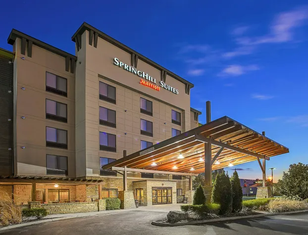 SpringHill Suites by Marriott Pigeon Forge hotel detail image 1