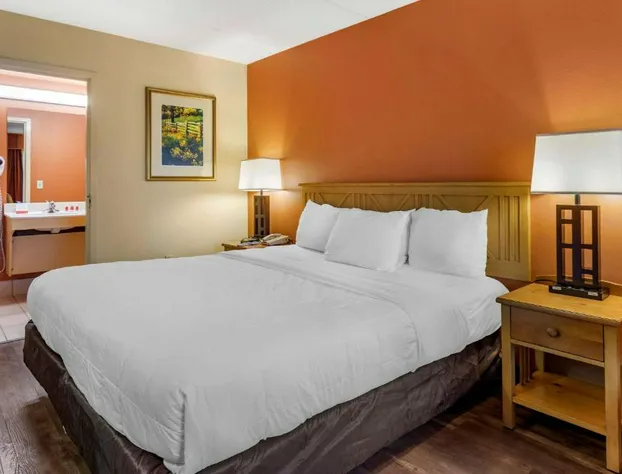 Econo Lodge Pigeon Forge Riverside hotel detail image 3