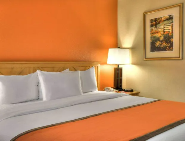 Econo Lodge Pigeon Forge Riverside hotel detail image 4